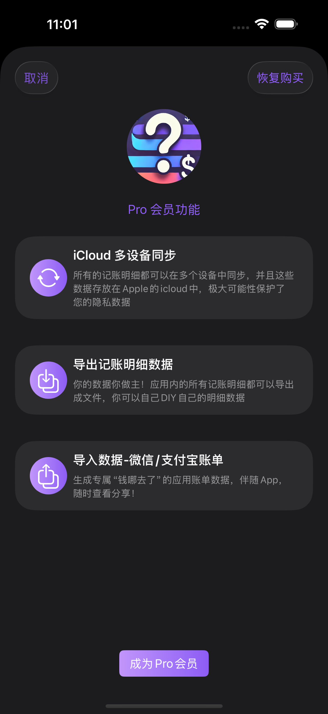 钱哪去了 Pro 会员功能